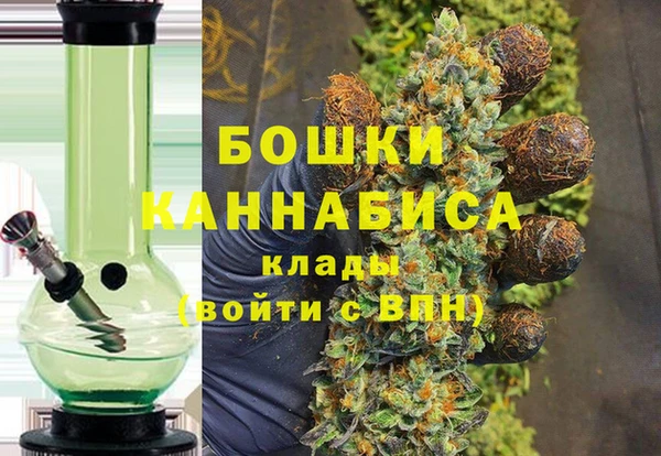 МДПВ Гусев
