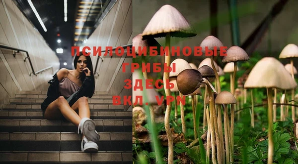 MDMA Premium VHQ Гусь-Хрустальный