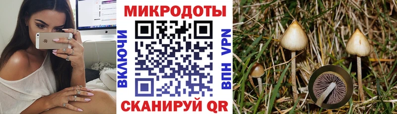 shop формула  купить наркотики сайты  Шарья  Псилоцибиновые грибы прущие грибы 